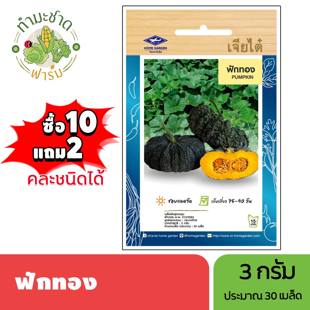 เจียไต๋ (ซื้อ10แถม2) เมล็ดพันธุ์ ฟักทอง ขนาด3กรัม ประมาณ30เมล็ด Pumpkin ฟัก เมล็ดพันธุ์พืช เมล็ดผัก ปลูกผักสวนครัว
