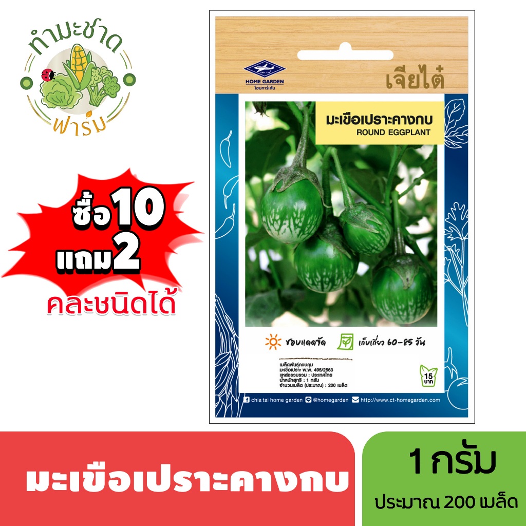เจียไต๋ (ซื้อ10แถม2) เมล็ดพันธุ์ มะเขือเปราะคางกบ ขนาด1กรัม ประมาณ200เมล็ด Round Eggplant มะเขือคางกบ เมล็ดพันธุ์พืช เมล