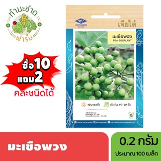 เจียไต๋ (ซื้อ10แถม2) เมล็ดพันธุ์ มะเขือพวง ขนาด0.2กรัม ประมา…