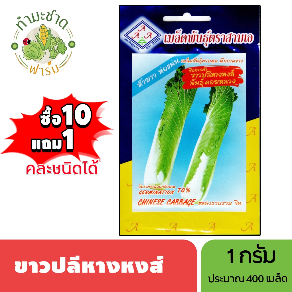 3A (ซื้อ10แถม1) เมล็ดพันธุ์ ขาวปลีหางหงส์ ขนาด 1 กรัม ประมาณ 400 เมล็ด CABBAGE ผักกาดขาว เมล็ดพันธุ์พืช เมล็ดผัก ปลูกผัก