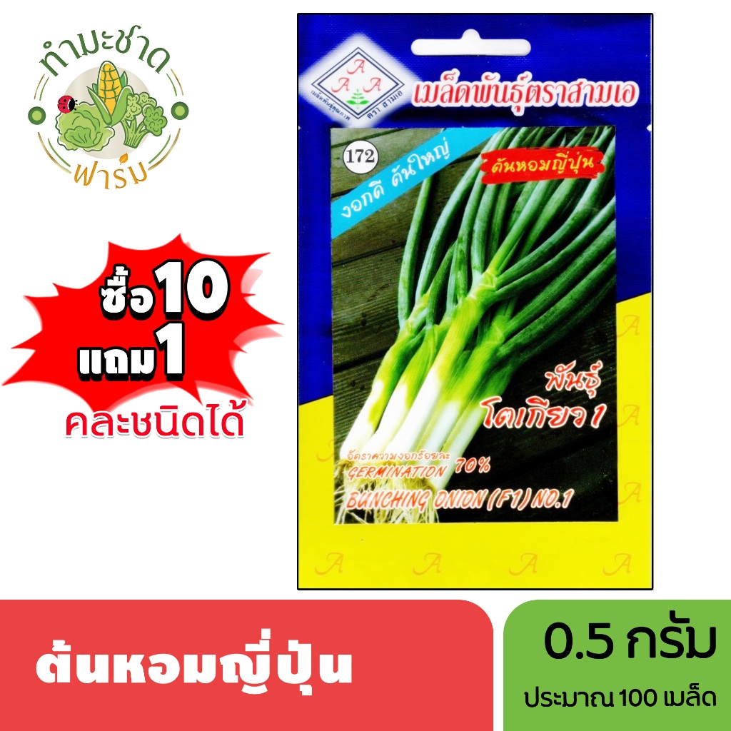 3A (ซื้อ10แถม1) เมล็ดพันธุ์ ต้นหอมญี่ปุ่น ขนาด 0.5 กรัม ประมาณ 150 เมล็ด BUNCHING ONION ต้นหอม เมล็ดพันธุ์พืช เมล็ดผัก