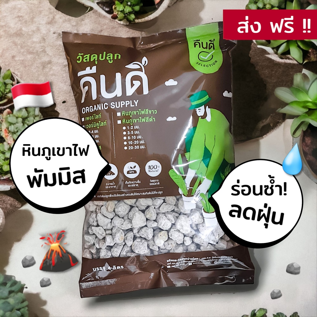 ส่งฟรี ‼️ | หินภูเขาไฟ หินพัมมิส (Pumice Stone) 🌋 | เกรดล้างฝุ่นซ้ำ สะอาด เม็ดสวย
