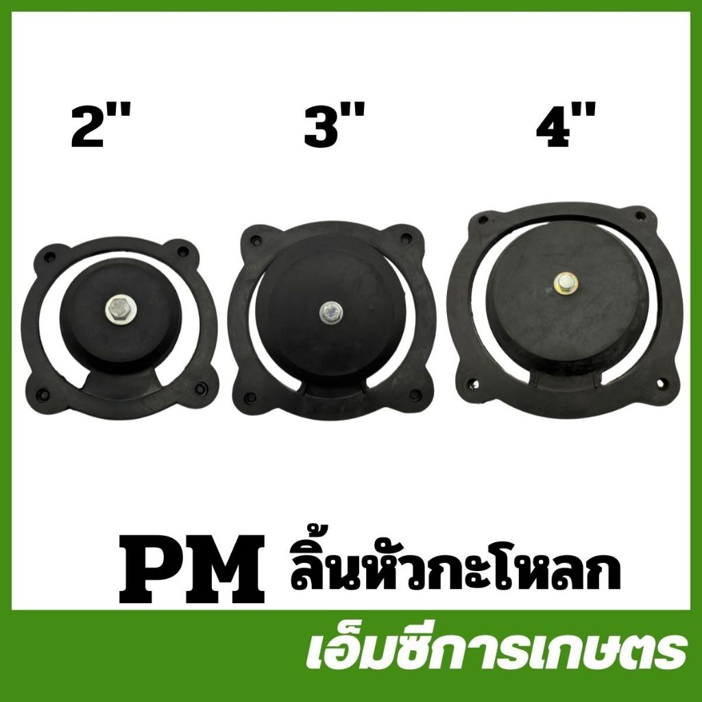 PM  ลิ้นหัวกะโหลก ขนาด 2 นิ้ว 3 นิ้ว 4 นิ้ว เครื่องปั๊มน้ำ ( PM-31 / PM-32 / PM-33 )
