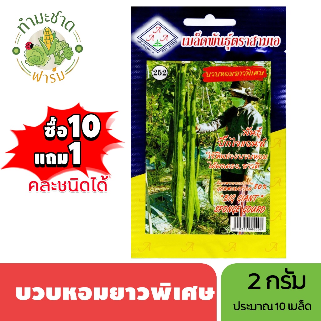3A (ซื้อ10แถม1) เมล็ดพันธุ์ บวบหอมยาวพิเศษ ขนาด 2 กรัม ประมาณ 10 เมล็ด SPONGE GOURD บวบหอม  เมล็ดพันธุ์พืช เมล็ดผัก ปลูก