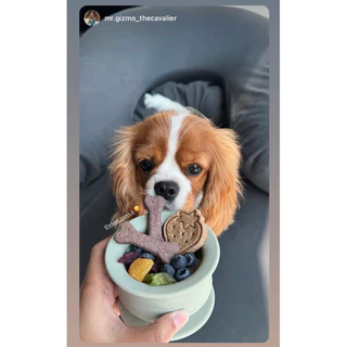 ขนมน้องหมา บิสกิตสุนัข รสบลูเบอร์รี่ โยเกิร์ต
