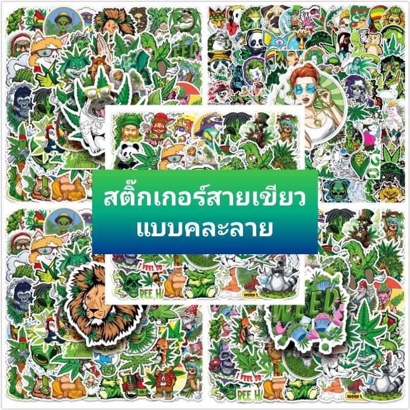 สติ๊กเกอร์สายเขียวแบบคละลายไม่ซ้ำ สำหรับติดตกแต่งDIYหลากหลายรูปแบบ ร้านส่งไว