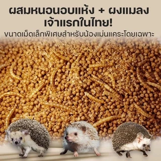 Hamu ❤️ เข้าใหม่ อาหารเม่น อาหารเม่นแคระ เลียหนาม Lear Nharm ซองแพ็คเกจ 150g แถมหนอนอบฟรี 5g ทุกซอง