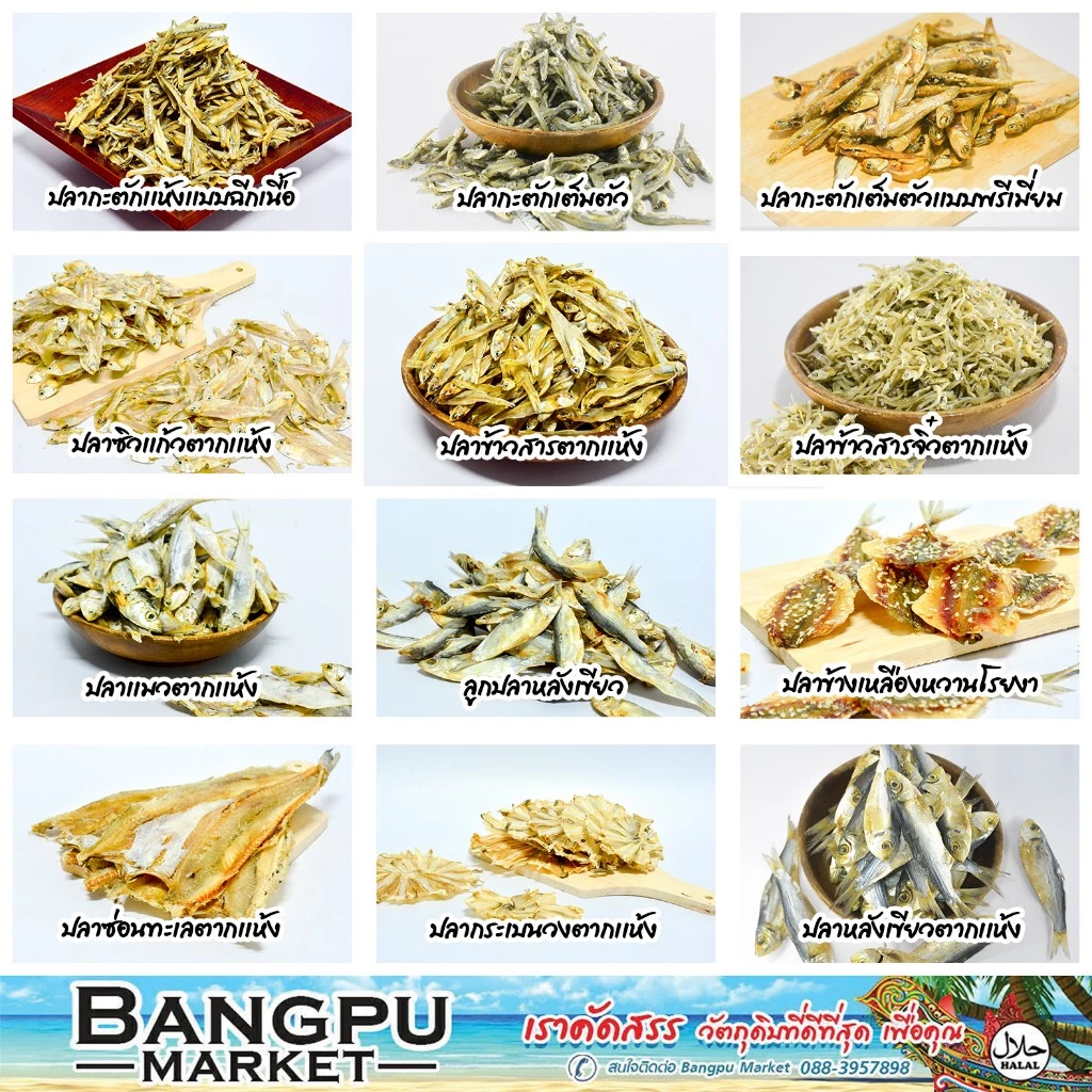 รวมมิตร ปลาทะเลแปรรูป ตากแห้ง ปลากะตัก ปลาข้าวสาร ปลาซิวแก้ว ปลาเกล็ดข้าว ปลาหลังเขียว ปลากระเบนวงปลาแมว Tuyo Dried fish