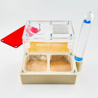 รังเลี้ยงมด 3D แนวนอน ขนาด M พร้อมหลอดทำความชื้น - Donatic Ants