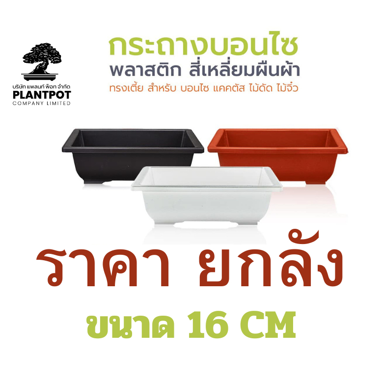 กระถางพลาสติกผืนผ้าขนาด 16 cm (ขายยกลัง PR-016) ทรงเตี้ย สำหรับ บอนไซ แคคตัส ชวนชม ไม้ดัด ไม้แคระ ไม้จิ๋ว