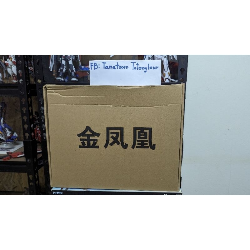 Mg 1/100 Akatsuki [Avenue Model]