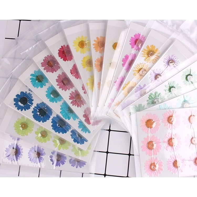 ดอกไม้จริงทับแห้ง ดอกเดซี่ Daisy แต่งเคสโทรศัพท์เรซิ่น เครื่องประดับต่างๆ diy ขนาด 2.5-3 cm