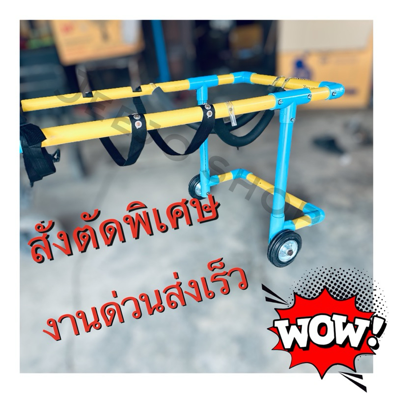 วีลแชร์สุนัขพันธุ์ใหญ่,ลาบาดอ,โกลว์เด้น