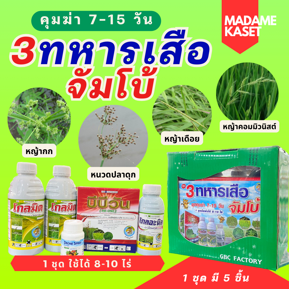 ชุดคุม+ฆ่าหญ้าในนาข้าว 3 ทหารเสือจัมโบ้ 7-15 วัน ปราบทุกหญ้า เดือย ดอกแดง กระดูกไก่ ไข่แมงดา หญ้าคอมมิวนิสต์ ได้ 8-10ไร่