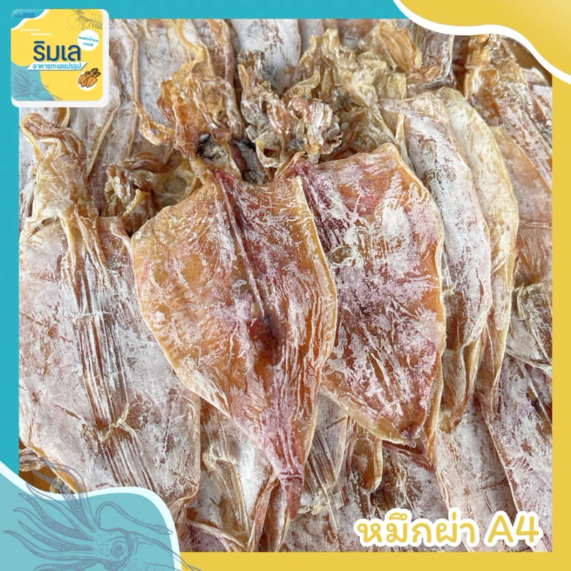 หมึกผ่า หมึกแห้ง A4 ทอดหอมอร่อย ของฝากบ้านเพระยอง