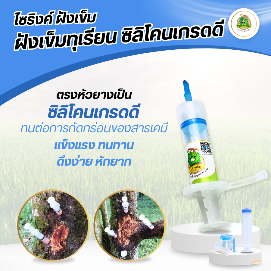 ไซริงค์ ฝังเข็มต้นทุเรียน ทุเรียนยิ้ม ” เข็มทุเรียนยิ้ม แข็งแรง ทนทาน ดึงง่าย หักยาก ✨” – โปรปัง