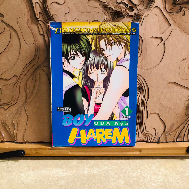 ฉ069 BOY HAREM  ODA Aya