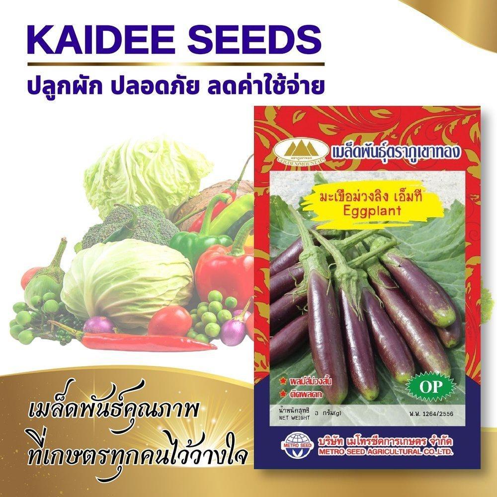 เมล็ดมะเขือม่วงลิง เอ็มที (Eggplant) เมล็ดมะเขือยาวม่วง เมล็ดพันธุ์มะเขือ มะเขือม่วงลิง ตราภูเขาทอง