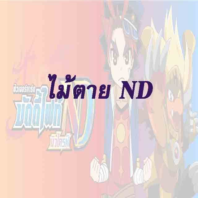 บัดดี้ไฟท์ ND : รวม-ไม้ตาย - ฟอย