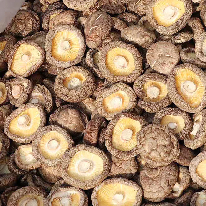 เห็ดหอมเบอร์จับโบอิ้งAA6,（500g）เห็ดขนาดใหญ่ เนื้อหนา หอมนุ่ม