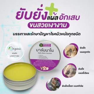 บาล์มนาโน แผลแห้งไว Nano Balm ครีมทาแผล สัตว์เลี้ยงทุกชนิด แผลสด  ฆ่าเชื้อแบคทีเรีย 60 กรัม บาล์มสมุนไพร หมอไทยทำเอง
