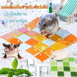 แผ่นหินเย็น แผ่นเย็นคลายร้อน สำหรับแฮมสเตอร์ กระรอก ชูการ์ ด…