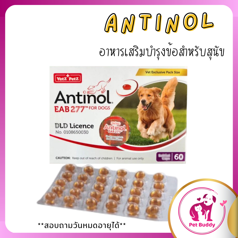 Antinol DOG 60 แคปซูล แพ็คเกจใหม่ อาหารเสริมบำรุงข้อ ข้ออักเสบ 1 กล่องบรรจุ 60 เม็ด