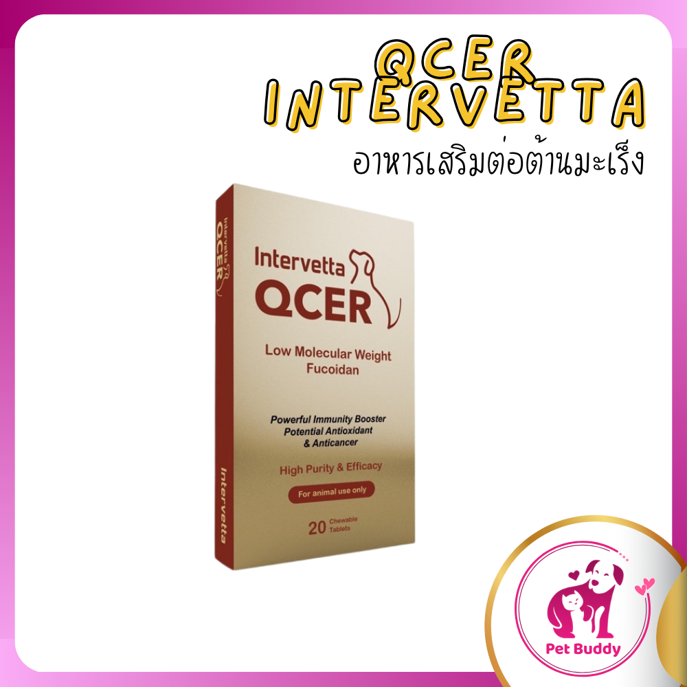 QCER ผลิตภัณฑ์ต่อต้านมะเร็งและเสริมภูมิคุ้มกันให้สมดุลย์ ทานได้ทั้งสุนัขและแมว 1 กล่อง มี 20 เม็ด [ MSA-0095 ]