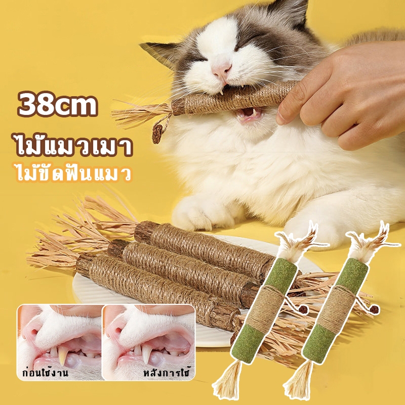 COD😻(38cm)ไม้แมวเมา อันใหญ่ ไม้ขัดฟันแมว มาทาบิ ไม้มาทาทาบิ ของเล่นแมว ลดคราบหินปูน กัญชาแมว ขนาดเหมาะกับแมวมากที่สุด