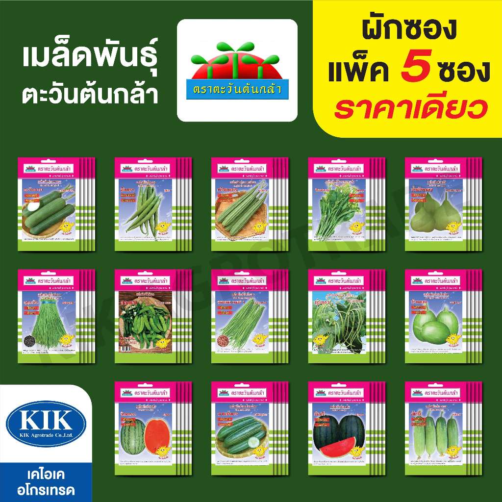 ขายปลีก ผักซอง ตะวันต้นกล้า SP บรรจุแพ็คละ 5 ซอง ราคา 38 บาท {คละชนิดได้ กดใส่ตะกล้าไว้ก่อนแล้วค่อยกดยืนสั่งซื้อ}