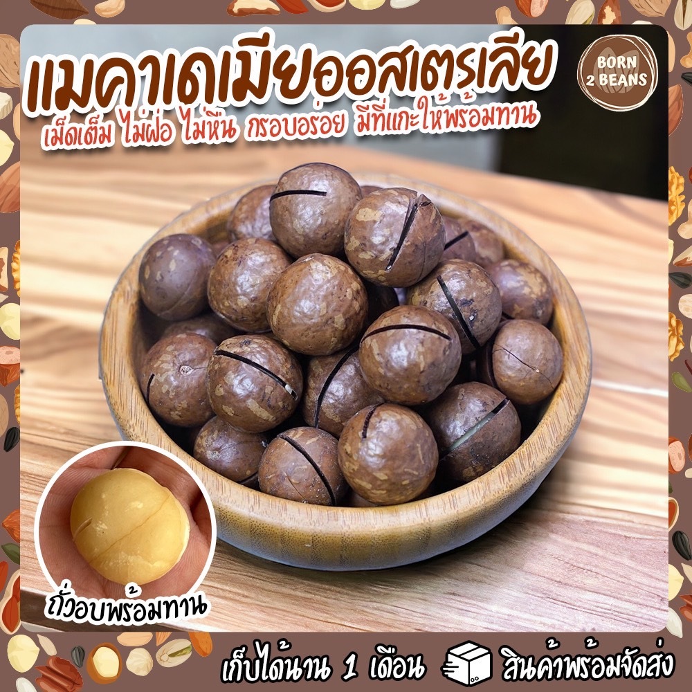 แมคคาเดเมีย นำเข้าจากออสเตรเลีย คัดเกรดพิเศษ เต็มเม็ด *ฟรีที่แกะ* ขนาด 500กรัม By Born to beans
