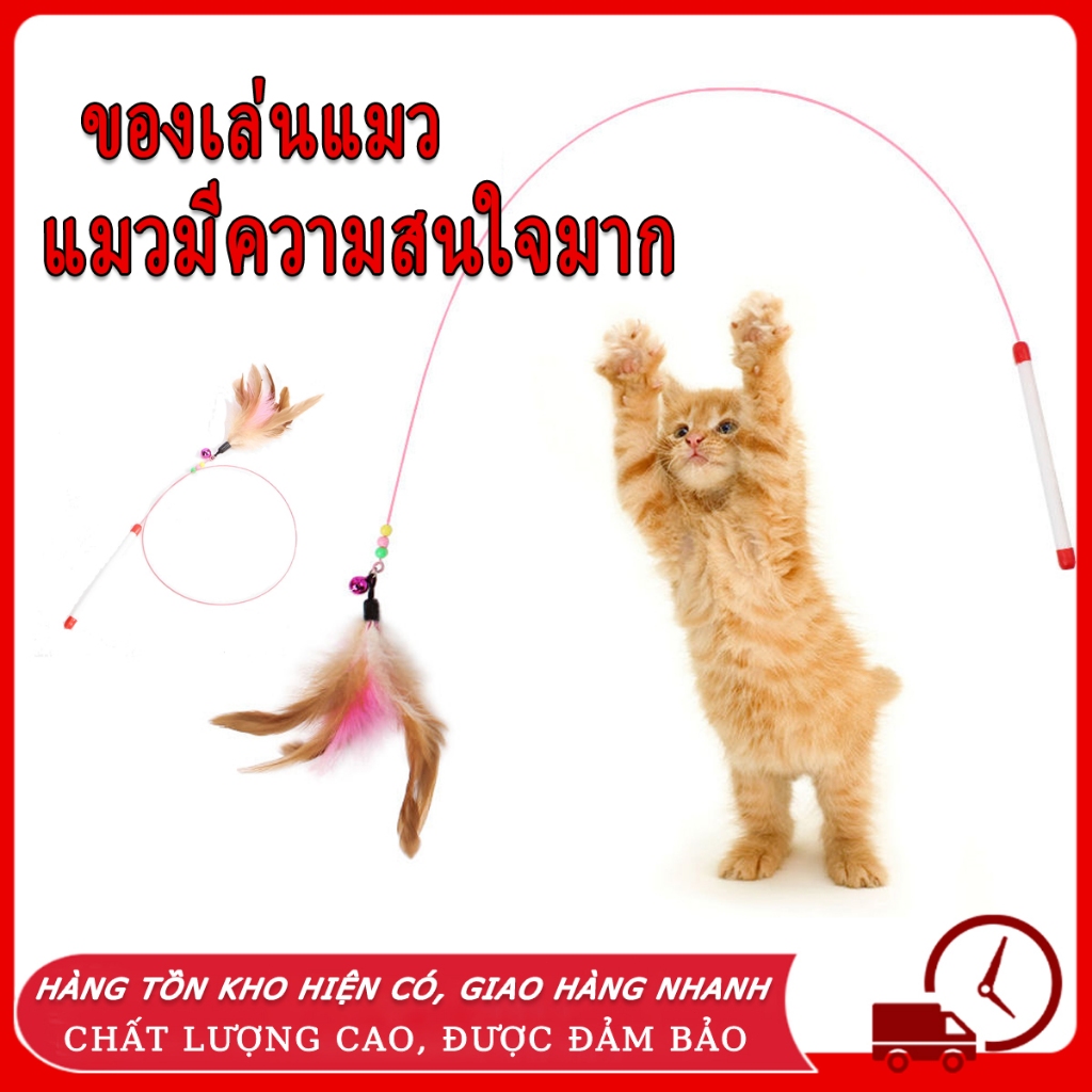 ของเล่นเเมว ของเล่นแมว ไม้ตกแมว แบบสปริง ล่อแมว ลวดสลิง ไม้แมว ยาวสุด ไม่ล่อแมว ของเล่น สำหรับแมว สำหรับสัตว์เลี้ยง