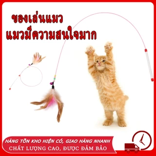 ของเล่นเเมว ของเล่นแมว ไม้ตกแมว แบบสปริง ล่อแมว ลวดสลิง ไม้แมว ยาวสุด ไม่ล่อแมว ของเล่น สำหรับแมว สำหรับสัตว์เลี้ยง