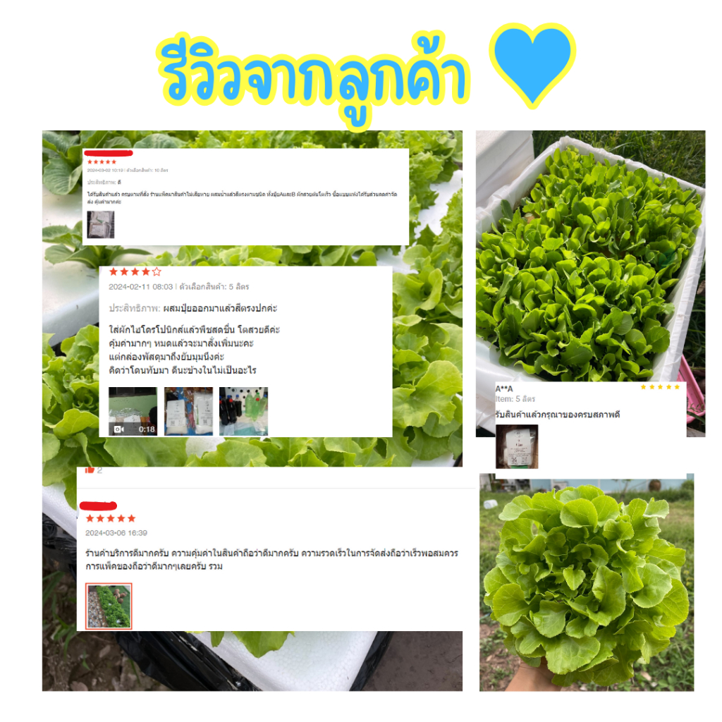 รูปภาพ 6