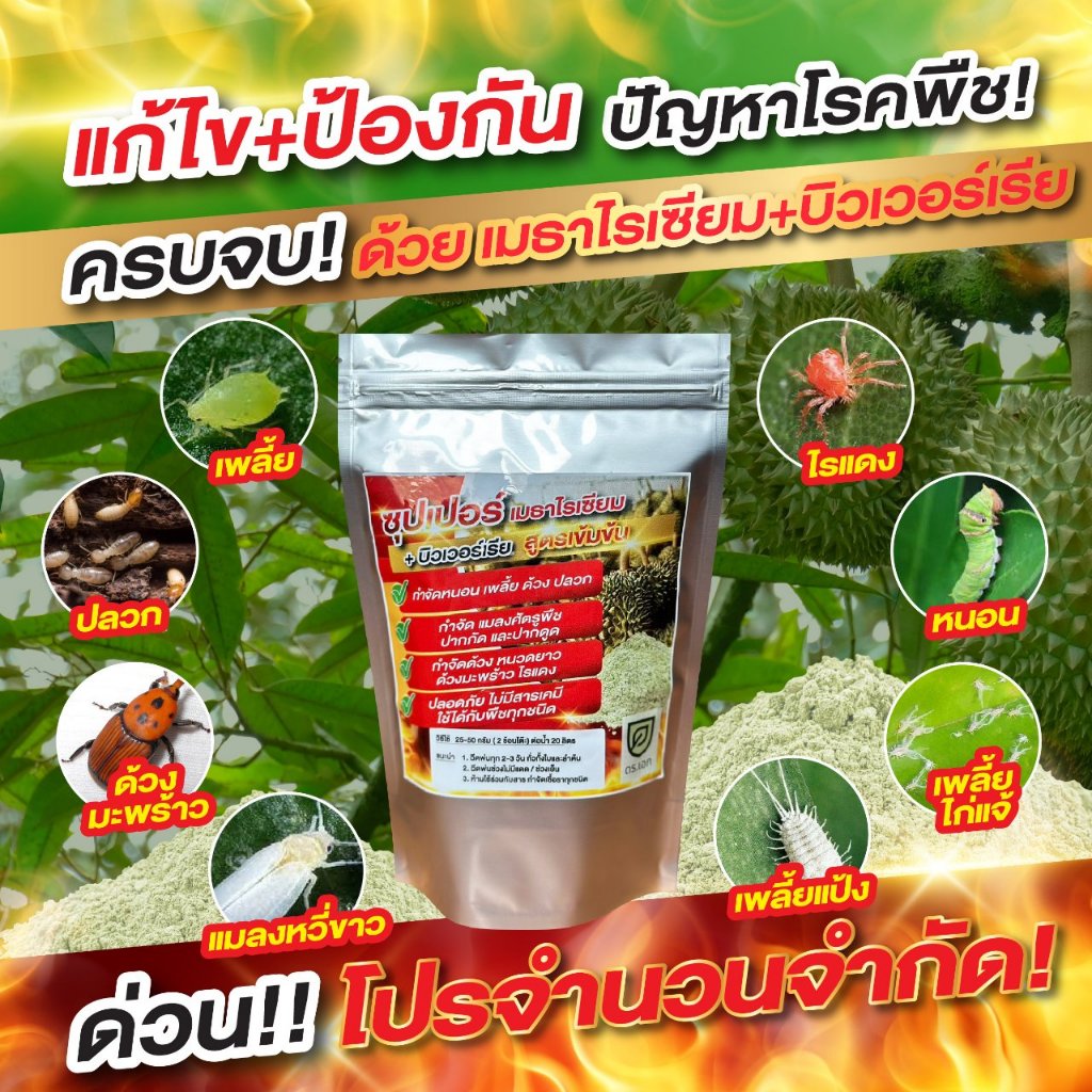 ขายดีอันดับ 1 🔥[2 แถม 2]🔥ซุปเปอร์ เมธาไรเซียม+บิวเวอร์เรีย ดร.เอก สูตรเข้มข้น! ถุงละ 100 กรัม กำจัดแมลงทุกชนิดเช่น หนอน - รูปที่ 2