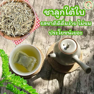 ชาลูกใต้ใบ บรรจุ 30 ซองชา Seed under leaf Tea เครื่องดื่มสมุนไพรชนิดชงดื่มแบบซองชา ชาลูกใต้ใบรสชาติดี ดื่มง่าย ไม่ขม