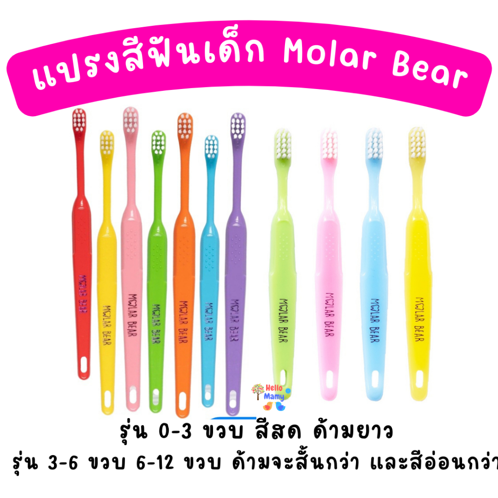 [ส่งด่วนเลือกได้] Molar Bear แปรงสีฟันเด็ก โมล่าร์ แบร์ ขนแปรงนุ่ม หัวแปรงขนาดเล็ก