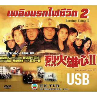 เพลิงนรกไฟชีวิต ภาค 2 Burning Flame 2 หวังสี่ ฟางจงซิน,ซวนซว…