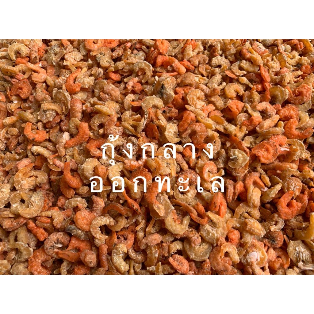 กุ้งแห้ง ขนาดกลาง ราคาถูก ราคาส่ง ชาวบ้านทำเอง ไม่เค็ม