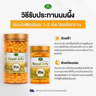 นมผึ้ง royal jelly ของแทั เนเจอร์คิง nature's king มี2ขนาด นมผึ้งออสเตรเลีย