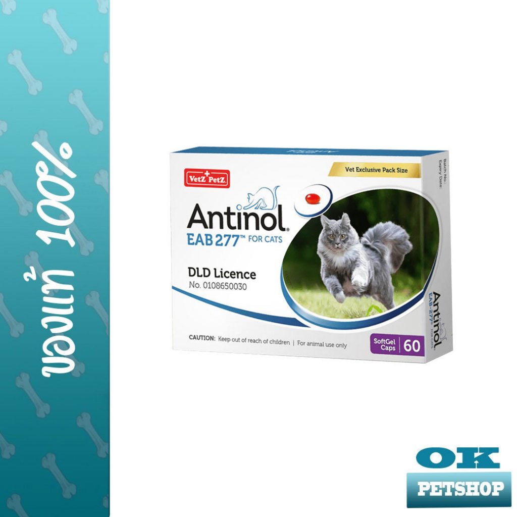 Antinol CAT วิตามินบำรุงข้อแมว 60 เม็ด