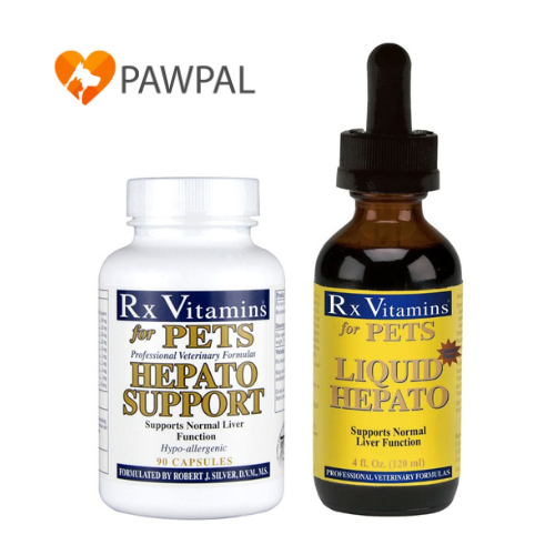 Hepato Support 🔥Exp.2027 Liquid Hepato เฮพพาโต ซัพพอร์ท Vitamin for pets แบบแคปซูล แบบน้ำ บำรุงตับ ส