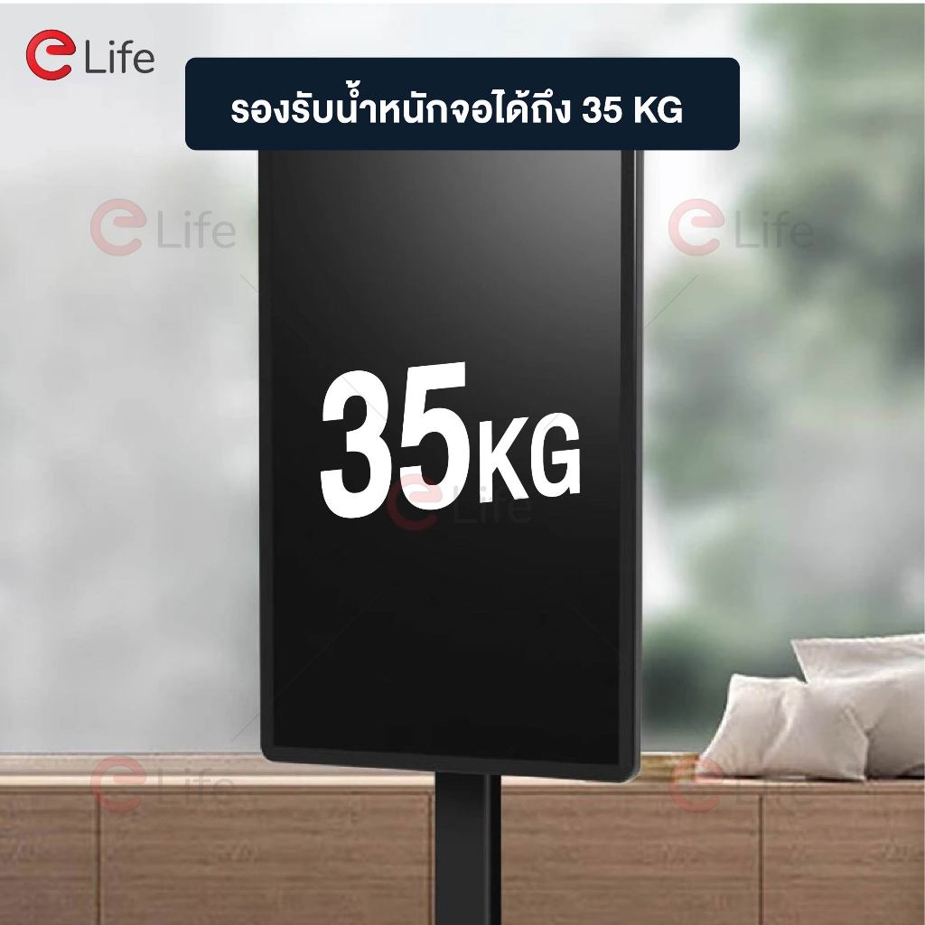 รูปภาพ 8