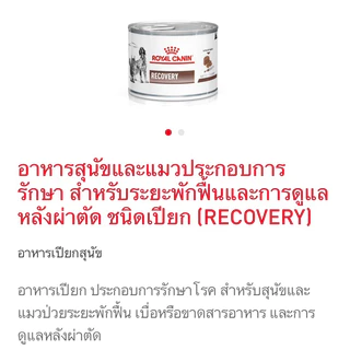 (หมดอายุ : 27/09/2027) Royal canin อาหารสัตว์ป่วย พักฟื้น Recovery 195 กรัม 1 กระป๋อง