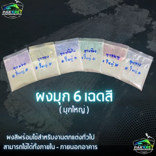 เกรดAผงมุกปกติมุกใหญ่มุกไดม่อนผงสีผงมุกขนาด1กรัมสีผสมเรซิ่นผสมสีพ่นสีทาสีต่างๆงานฝีมืองานปั้น By PKC