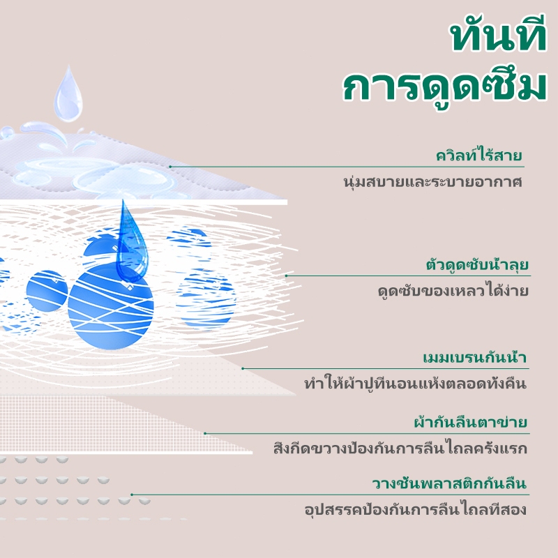 รูปภาพ 5