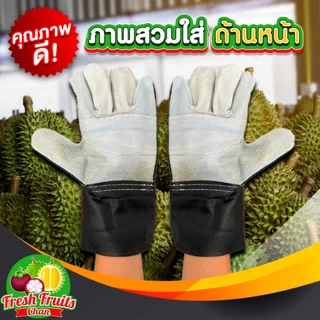 💥ส่งฟรี‼️💥ถุงมือหนังใช้ปอกและรับทุเรียน ✅คละสี 1 คู่ (ขนาดฟรีไซส์)