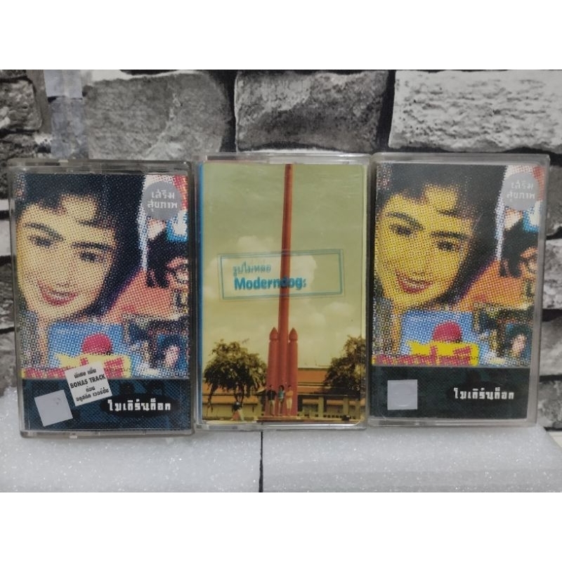 โมเดิร์นด็อก Modern dog เสริมสุขภาพ และอัลบั้มอื่นๆ