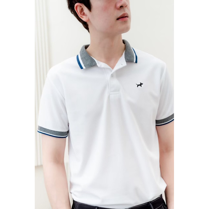 เสื้อโปโลBulltus brand ไซส์ใหญ่อก38-60“