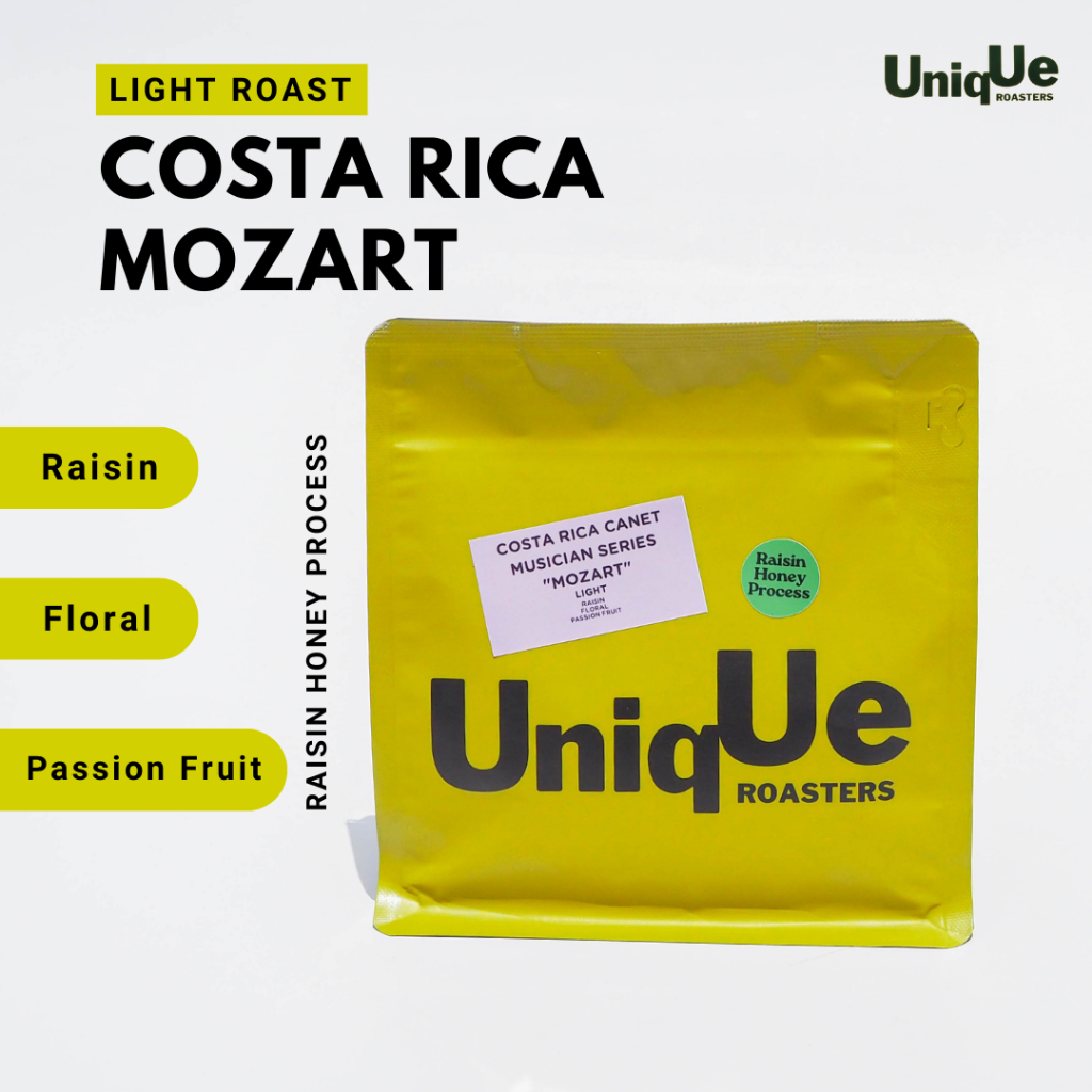 [𝗕𝗲𝘀𝘁 𝗦𝗲𝗹𝗹𝗲𝗿!!] เมล็ดกาแฟคั่วอ่อน - คอสตาริกา โมสาท Costa Rica Canet Mozart Musician Series (200g.)